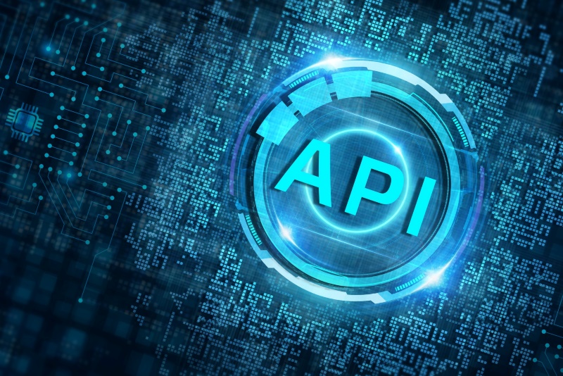 apis hcss