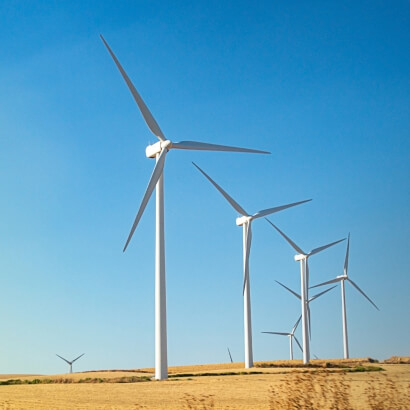 A wind farm